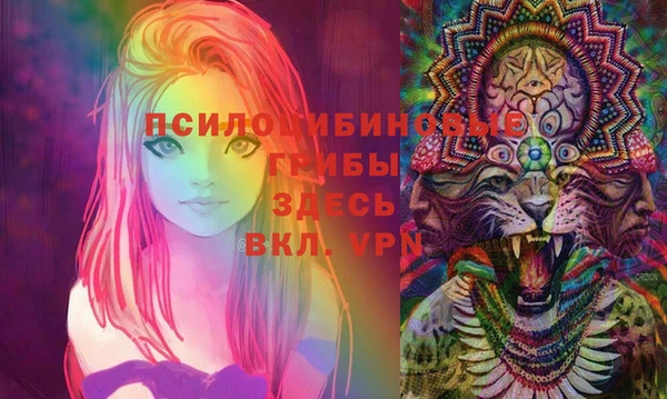 стафф Белоозёрский