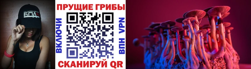 цена Емва Галлюциногенные грибы Magic Shrooms